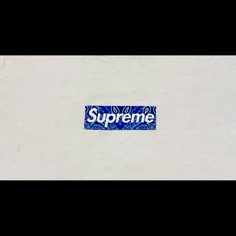 Supreme bandana box logo t-shirt